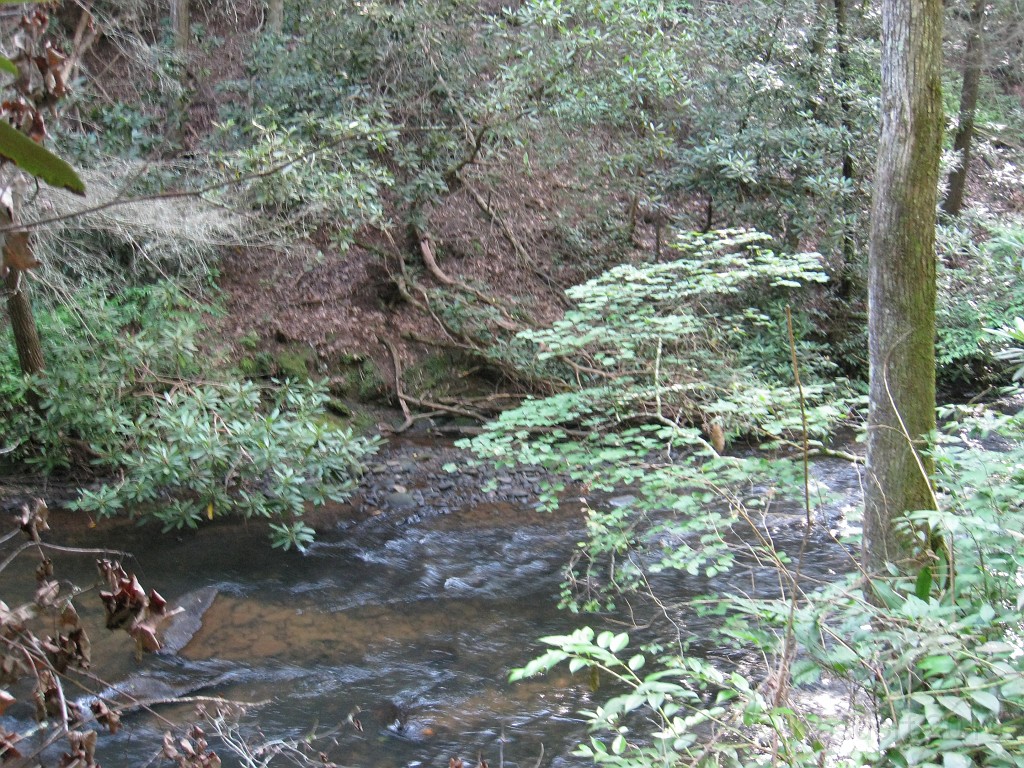 Helen to Unicoi 2010 0260.jpg - The trail from Helen Georgia to the lodge at Unicoi State Park makes a fun six mile run. July 2010 and 90 degrees makes it a little bit more of a workout.